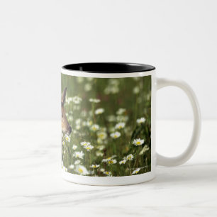 White-tailed deer in field of flowers , Two-Tone coffee mug