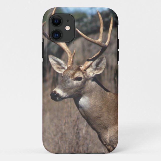 White-Tailed Deer - iPhone 5 Cover (Back)
