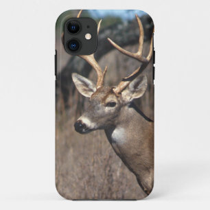 White-Tailed Deer - iPhone 5 Cover