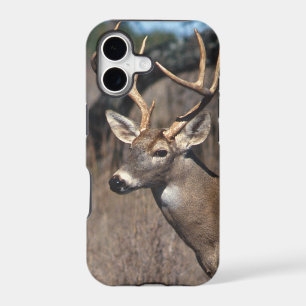White-Tailed Deer - iPhone 5 Cover