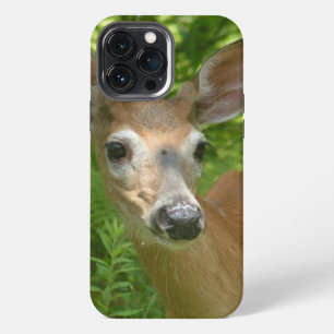 White Tailed Deer iPhone 13 Pro Max Case