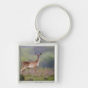White-Tailed Deer Key Ring