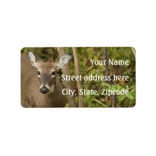 White Tailed Deer Label