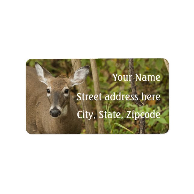 White Tailed Deer Label (Front)