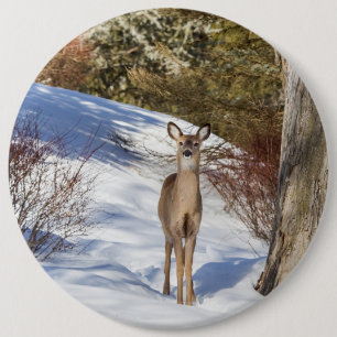 White-tailed Deer Looking At You 6 Cm Round Badge