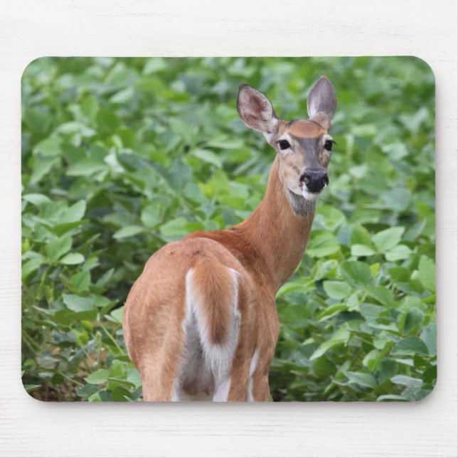White-Tailed Deer Mouse Pad (Front)