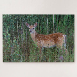White-tailed Deer   National Bison Range Montana Jigsaw Puzzle