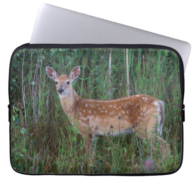White-tailed Deer | National Bison Range Montana Laptop Sleeve (Front)