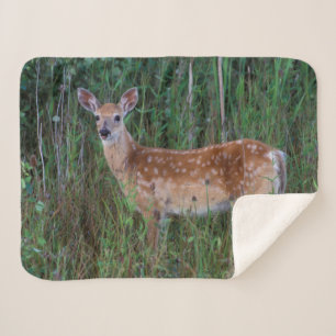 White-tailed Deer National Bison Range Montana Sherpa Blanket