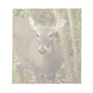 White Tailed Deer Notepad