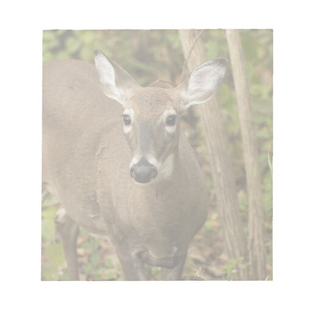 White Tailed Deer Notepad (Front)
