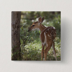 White-tailed Deer, Odocoileus virginianus 15 Cm Square Badge