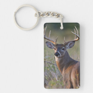 white-tailed deer Odocoileus virginianus Key Ring