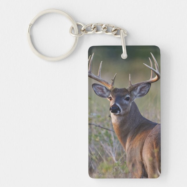 white-tailed deer Odocoileus virginianus Key Ring (Front)