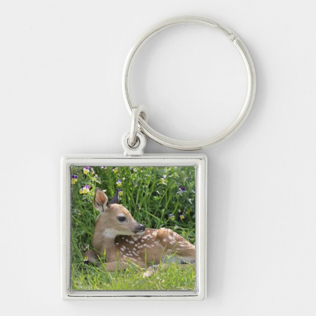 White-tailed deer (Odocoileus virginianus) Key Ring (Front)
