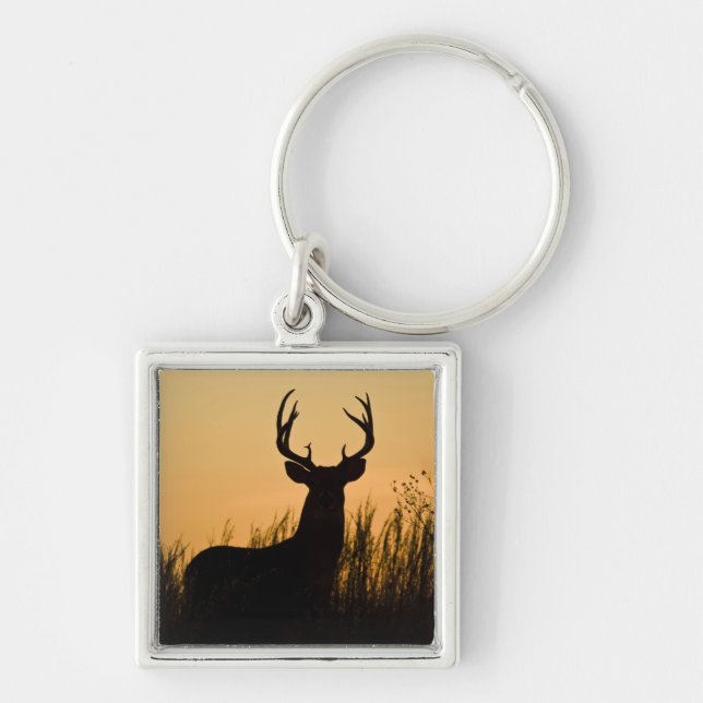 white-tailed deer Odocoileus virginianus) Key Ring (Front)