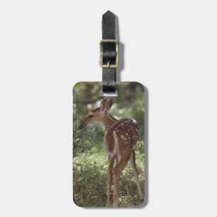 White-tailed Deer, Odocoileus virginianus Luggage Tag