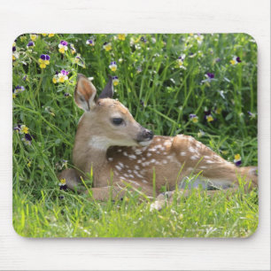 White-tailed deer (Odocoileus virginianus) Mouse Pad