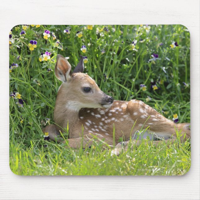 White-tailed deer (Odocoileus virginianus) Mouse Pad (Front)