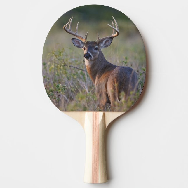 white-tailed deer Odocoileus virginianus Ping Pong Paddle (Front)