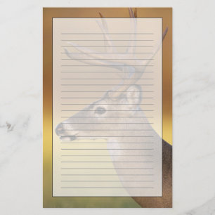 White-tailed Deer, Odocoileus virginianus, Stationery