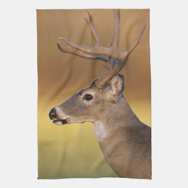 White-tailed Deer, Odocoileus virginianus, Tea Towel (Vertical)
