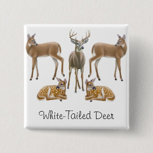 White Tailed Deer Pin