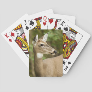 White Tailed Deer Playing Cards