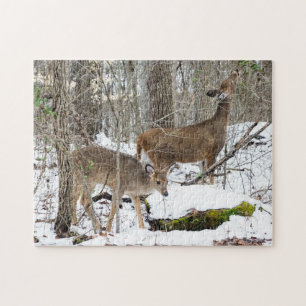 White-Tailed Deer Puzzle