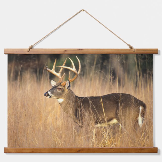 White-tailed Deer | Smoky Mountains Tennessee Hanging Tapestry (Front)