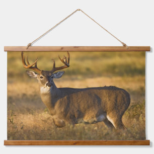 White-tailed Deer South Texas Hanging Tapestry