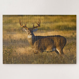 White-tailed Deer   South Texas Jigsaw Puzzle