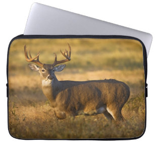 White-tailed Deer   South Texas Laptop Sleeve