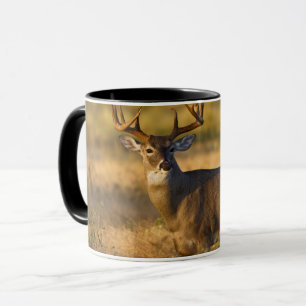 White-tailed Deer   South Texas Mug