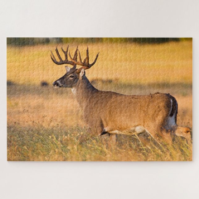 White-tailed Deer | South TX Jigsaw Puzzle (Horizontal)