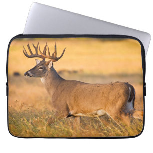 White-tailed Deer   South TX Laptop Sleeve