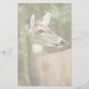 White Tailed Deer Stationery