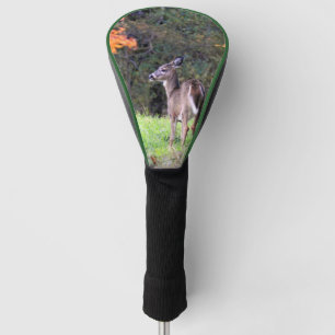 White Tailed Deer Up Close Golf Head Cover