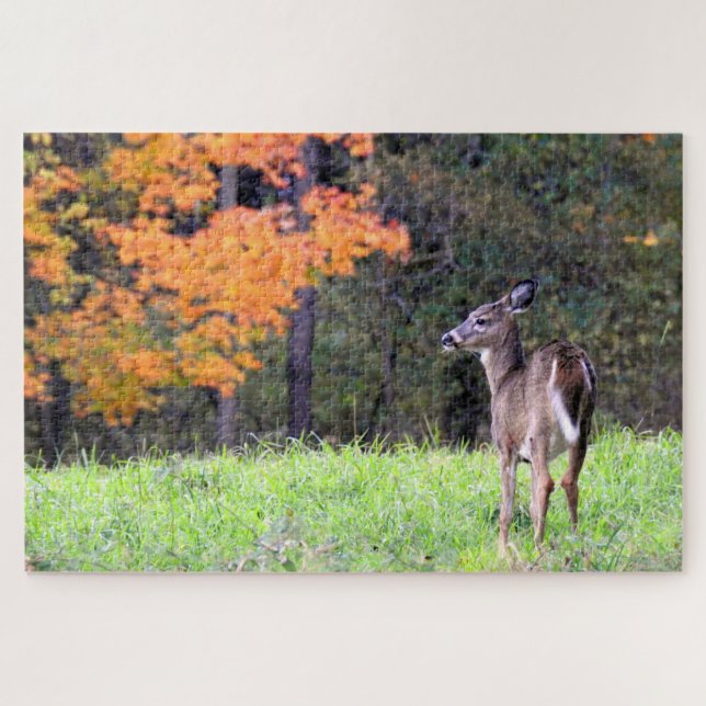 White Tailed Deer Up Close Jigsaw Puzzle (Horizontal)