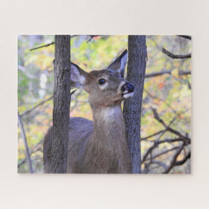 White Tailed Deer Up Close Jigsaw Puzzle