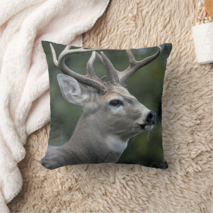 White-tailed Deer   Washington State Cushion