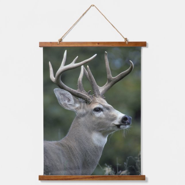 White-tailed Deer | Washington State Hanging Tapestry (Front)
