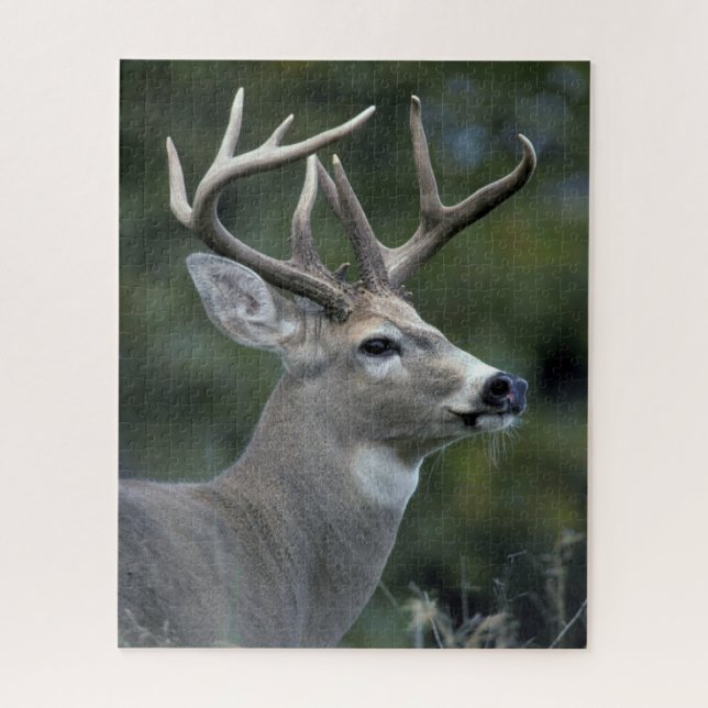 White-tailed Deer | Washington State Jigsaw Puzzle (Vertical)