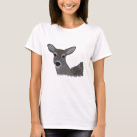White Tailed Deer Wildlife Cute