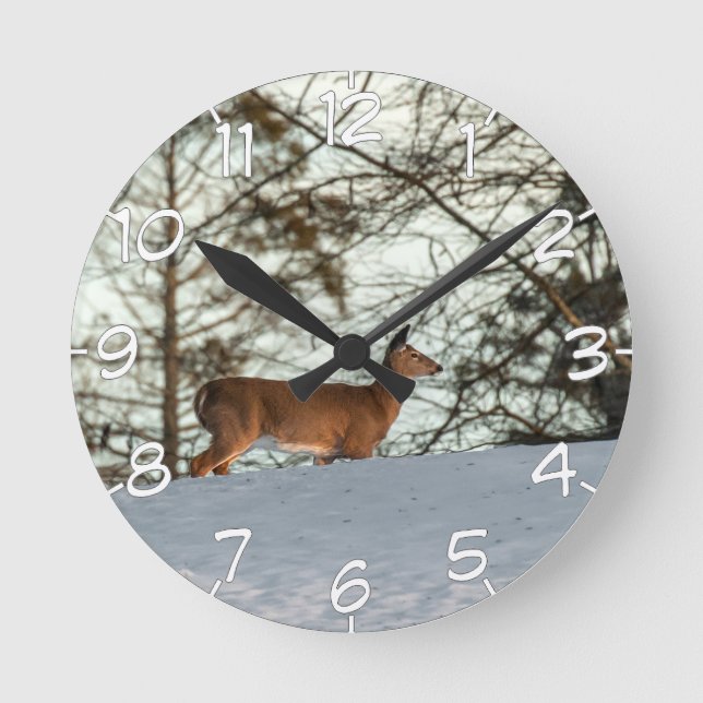 White Tailed Deer (With Numbers) Round Clock (Front)
