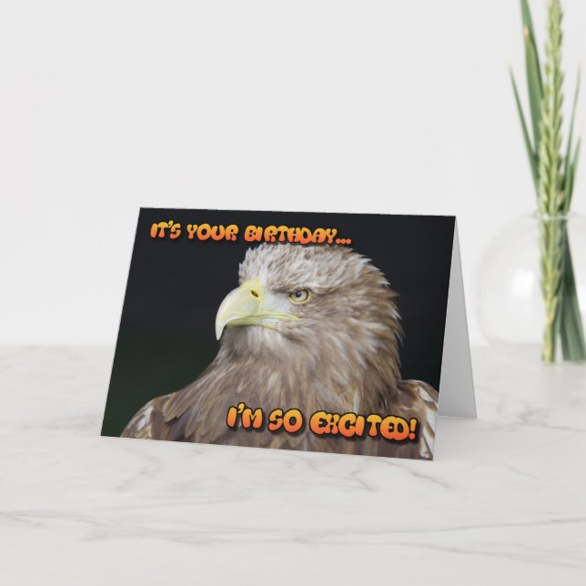 White-tailed eagle birthday card (Front)