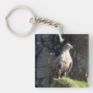 White Tailed Eagle on Rock Key Ring
