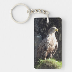 White Tailed Eagle on Rock Key Ring