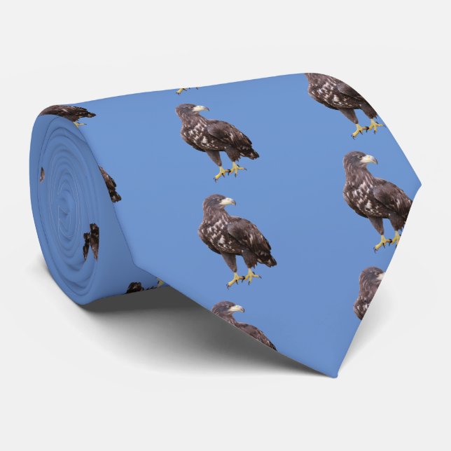 White-tailed eagle tie (Rolled)