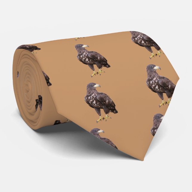 White-tailed eagle tie (Rolled)
